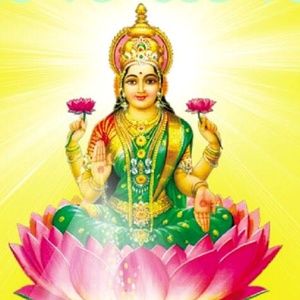 Meet your Posher, Narmada